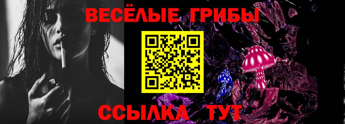 Псилоцибиновые грибы MAGIC MUSHROOMS  Вход с VPN  Рыбинск 